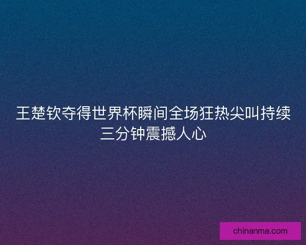 王楚钦夺得世界杯瞬间全场狂热尖叫持续三分钟震撼人心