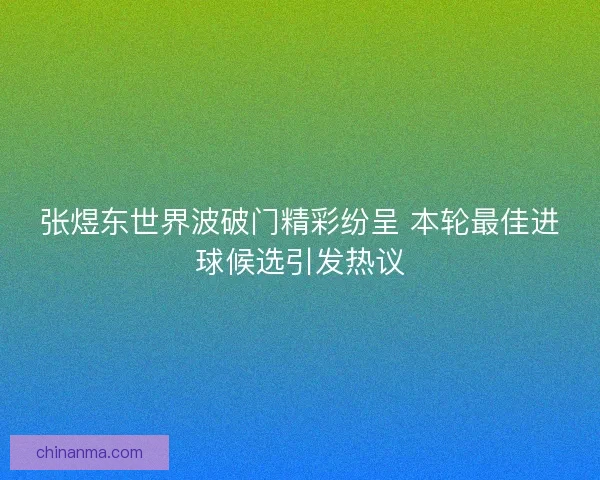 张煜东世界波破门精彩纷呈 本轮最佳进球候选引发热议